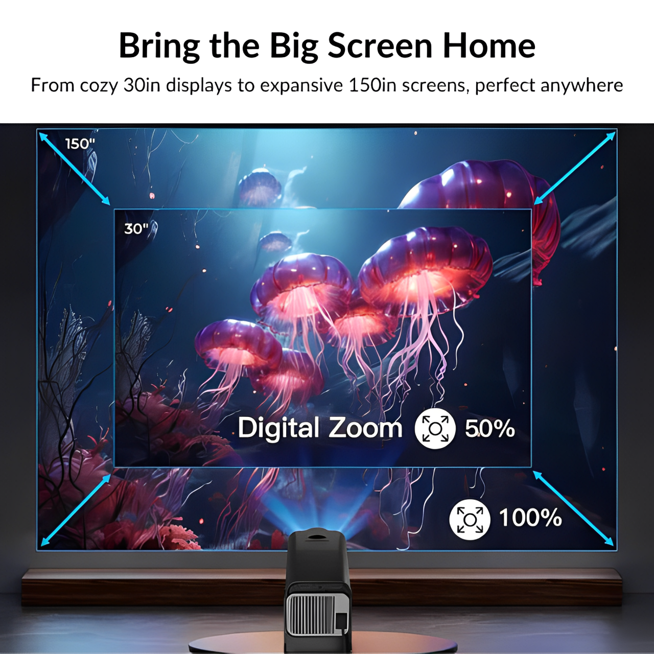 iVision Pro™ - Home Theater Experience