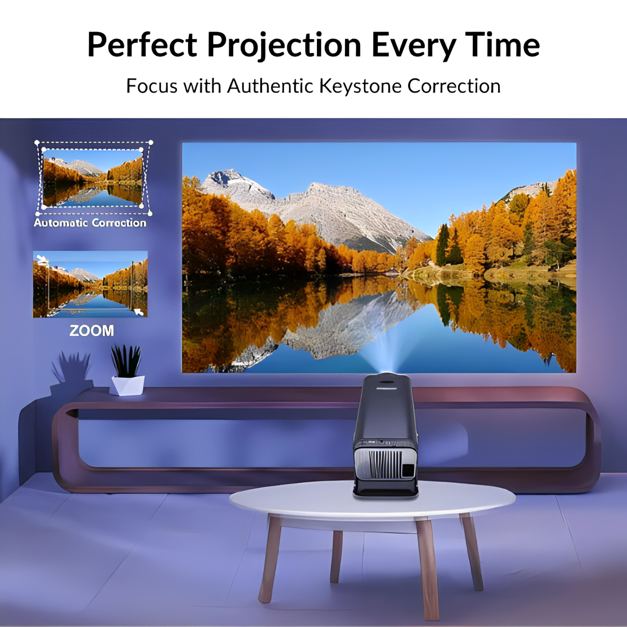 iVision Pro™ - Home Theater Experience